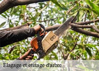 Elagage et etetage d'arbre