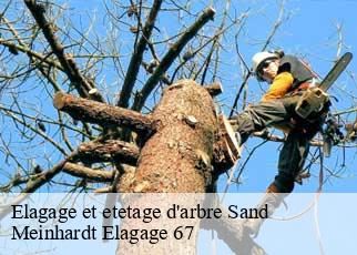 Elagage et etetage d'arbre  sand-67230 Meinhardt Elagage 67 