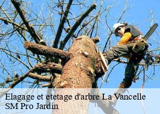 Elagage et etetage d'arbre  la-vancelle-67730 SM Pro Jardin