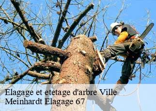 Elagage et etetage d'arbre  ville-67220 Meinhardt Elagage 67 