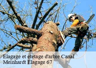 Elagage et etetage d'arbre  canal-67120 Meinhardt Elagage 67 