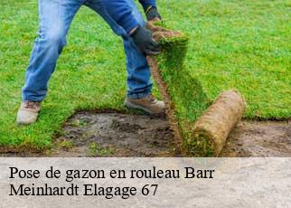 Pose de gazon en rouleau  barr-67140 Meinhardt Elagage 67 