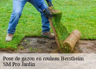 Pose de gazon en rouleau berstheim-67170 SM Pro Jardin