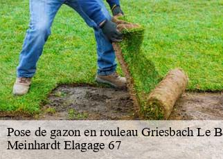Pose de gazon en rouleau  griesbach-le-bastberg-67330 Meinhardt Elagage 67 