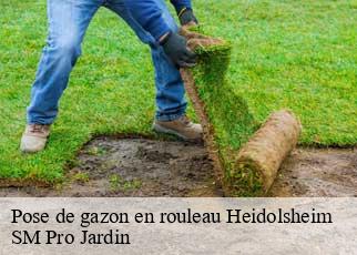 Pose de gazon en rouleau heidolsheim-67390 SM Pro Jardin