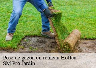 Pose de gazon en rouleau hoffen-67250 SM Pro Jardin