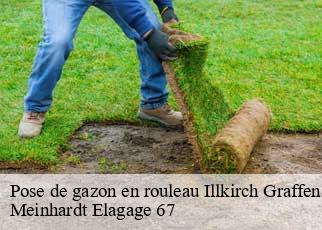 Pose de gazon en rouleau  illkirch-graffenstaden-67400 Meinhardt Elagage 67 