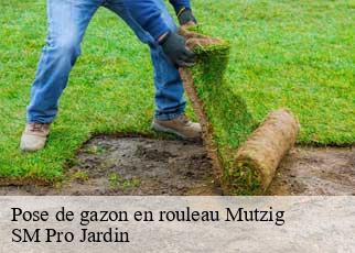 Pose de gazon en rouleau mutzig-67190 SM Pro Jardin