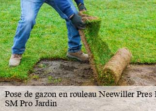 Pose de gazon en rouleau neewiller-pres-lauterbour-67630 SM Pro Jardin