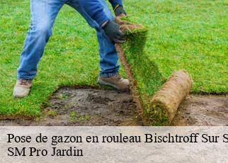 Pose de gazon en rouleau bischtroff-sur-sarre-67260 SM Pro Jardin