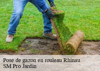 Pose de gazon en rouleau rhinau-67860 SM Pro Jardin
