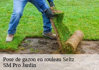 Pose de gazon en rouleau seltz-67470 SM Pro Jardin
