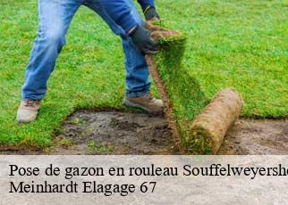 Pose de gazon en rouleau  souffelweyersheim-67460 Meinhardt Elagage 67 