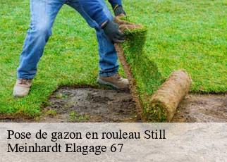 Pose de gazon en rouleau  still-67190 Meinhardt Elagage 67 