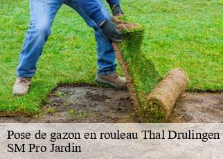 Pose de gazon en rouleau thal-drulingen-67320 SM Pro Jardin