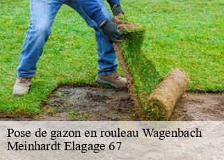 Pose de gazon en rouleau  wagenbach-67220 Meinhardt Elagage 67 