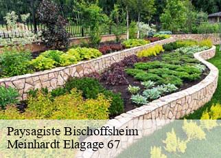 Paysagiste  bischoffsheim-67870 Meinhardt Elagage 67 