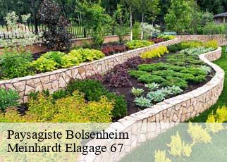 Paysagiste  bolsenheim-67150 Meinhardt Elagage 67 