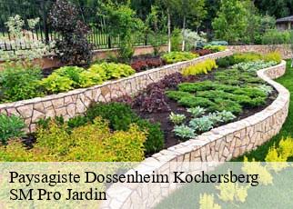 Paysagiste dossenheim-kochersberg-67117 SM Pro Jardin