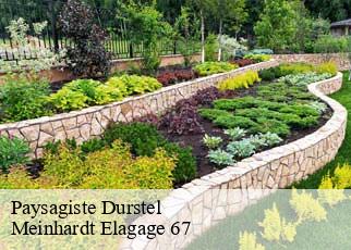 Paysagiste  durstel-67320 Meinhardt Elagage 67 