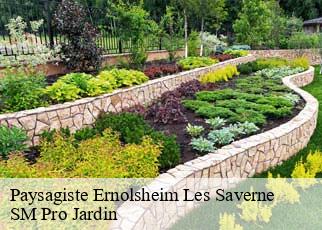 Paysagiste  ernolsheim-les-saverne-67330 SM Pro Jardin