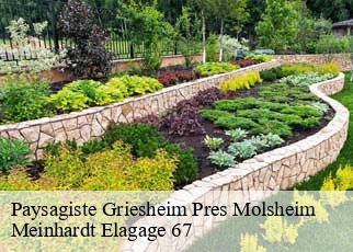 Paysagiste  griesheim-pres-molsheim-67210 Meinhardt Elagage 67 