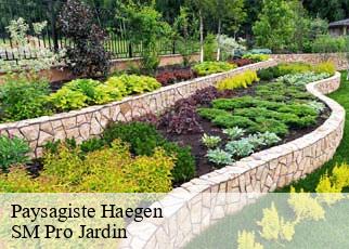 Paysagiste haegen-67700 SM Pro Jardin