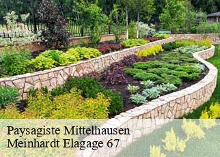 Paysagiste  mittelhausen-67170 Meinhardt Elagage 67 