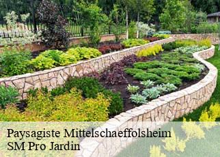 Paysagiste  mittelschaeffolsheim-67170 SM Pro Jardin