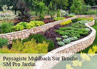 Paysagiste  muhlbach-sur-bruche-67130 SM Pro Jardin