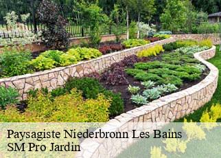 Paysagiste niederbronn-les-bains-67110 SM Pro Jardin