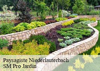 Paysagiste  niederlauterbach-67630 SM Pro Jardin