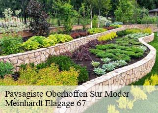Paysagiste  oberhoffen-sur-moder-67240 Meinhardt Elagage 67 