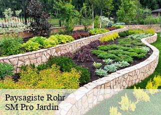 Paysagiste rohr-67270 SM Pro Jardin