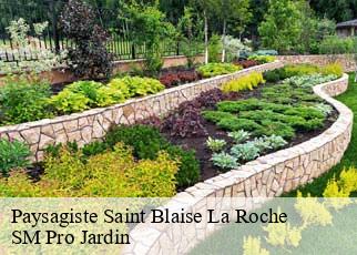 Paysagiste saint-blaise-la-roche-67420 SM Pro Jardin