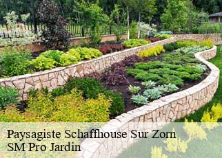 Paysagiste schaffhouse-sur-zorn-67270 SM Pro Jardin