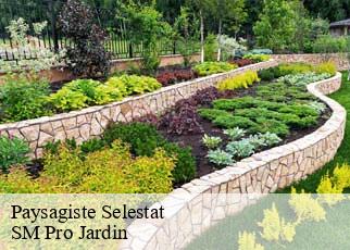 Paysagiste  selestat-67600 SM Pro Jardin