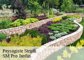 Paysagiste struth-67290 SM Pro Jardin