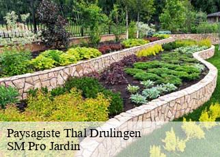 Paysagiste thal-drulingen-67320 SM Pro Jardin