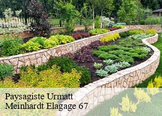 Paysagiste  urmatt-67280 Meinhardt Elagage 67 