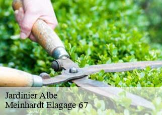 Jardinier  albe-67220 Meinhardt Elagage 67 