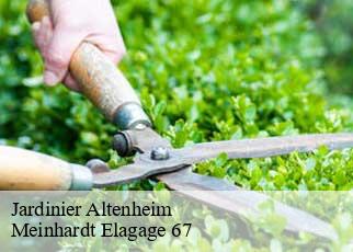 Jardinier  altenheim-67490 Meinhardt Elagage 67 