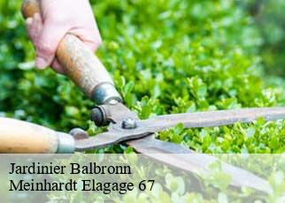 Jardinier  balbronn-67310 Meinhardt Elagage 67 