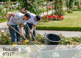 Jardinier 67117