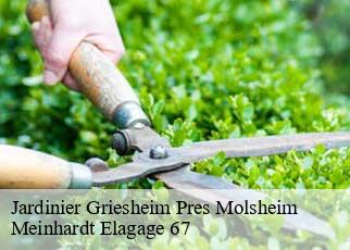 Jardinier  griesheim-pres-molsheim-67210 Meinhardt Elagage 67 