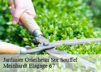 Jardinier  griesheim-sur-souffel-67370 Meinhardt Elagage 67 