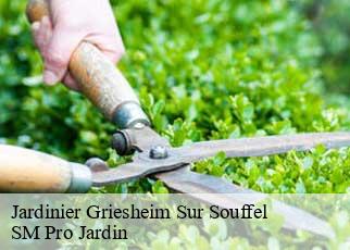 Jardinier  griesheim-sur-souffel-67370 SM Pro Jardin