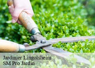 Jardinier lingolsheim-67380 SM Pro Jardin