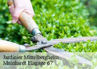 Jardinier  mittelbergheim-67140 Meinhardt Elagage 67 