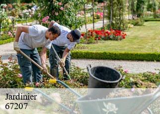 Jardinier 67207